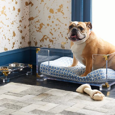 Cool Digs for Any Dog