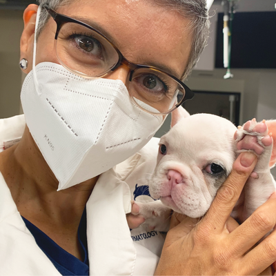 Meet Dr. Anthea Schick
