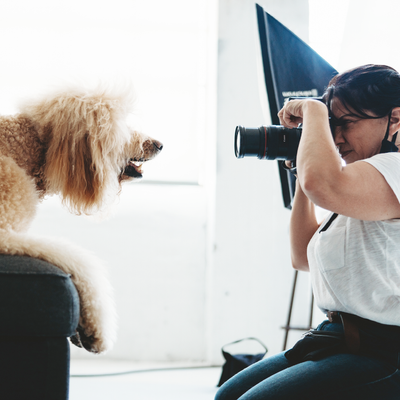 5 Tips for<br>Perfect Pet Pics