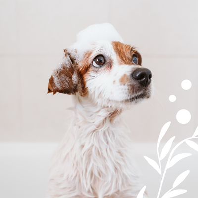 5 Tips To Make<br> Bath Time Better