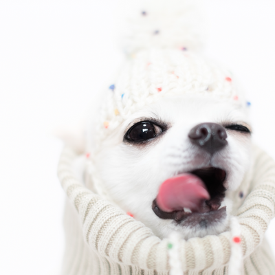 Winter Coat Care