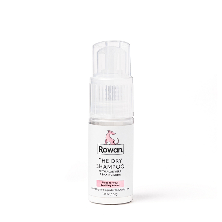 THE DRY SHAMPOO