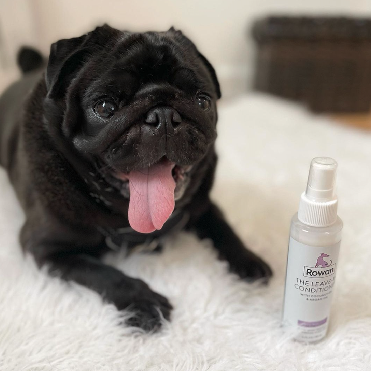 THE LEAVE-IN CONDITIONER