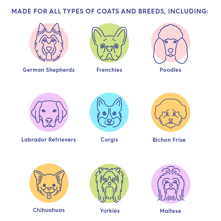 THE COAT REFRESH