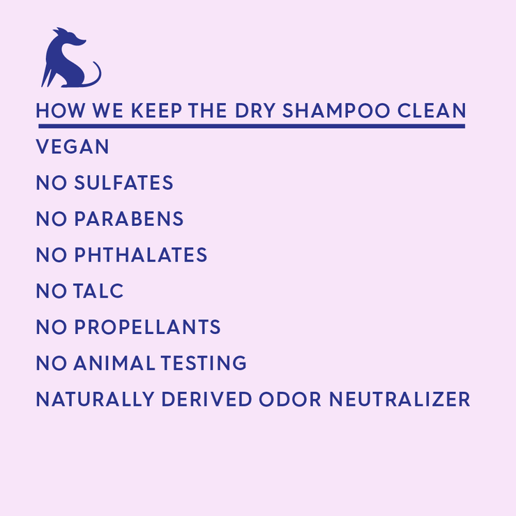 THE DRY SHAMPOO