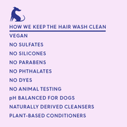 THE HAIR WASH
