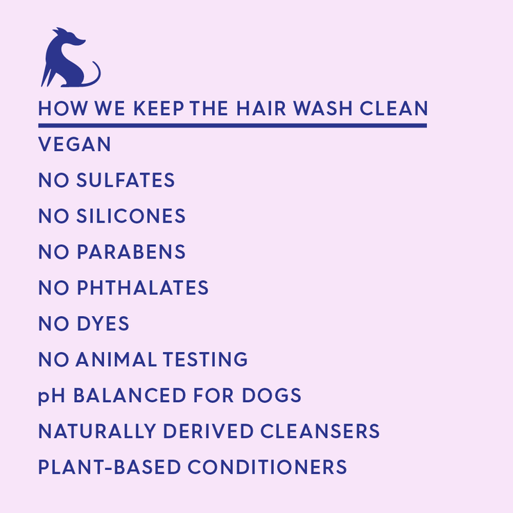 THE HAIR WASH