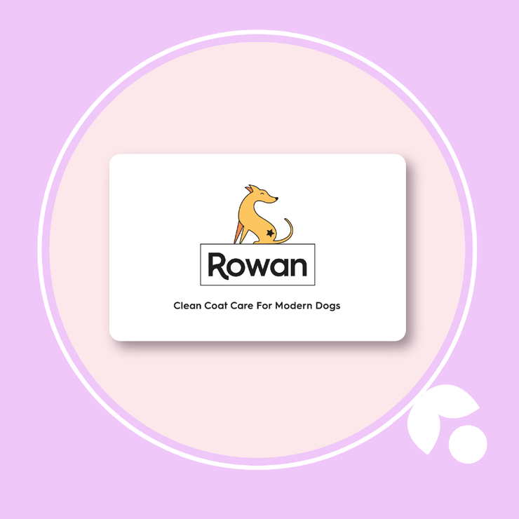THE GIFT CARD