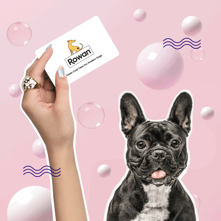 THE GIFT CARD