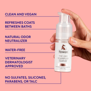 THE DRY SHAMPOO
